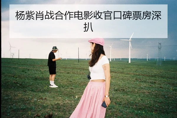 杨紫肖战合作电影收官口碑票房深扒